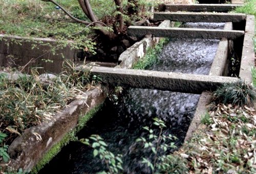 吹上の石樋の写真