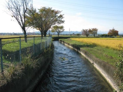 収穫の時季を迎えた受益地と長野堰用水の写真