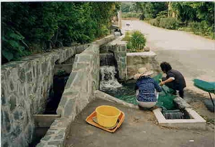 農業用水による洗浄作業の写真