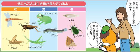 どろんっ子新聞7-15画像