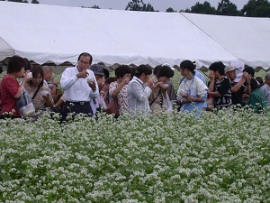 そば祭りの様子の画像