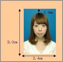 写真見本