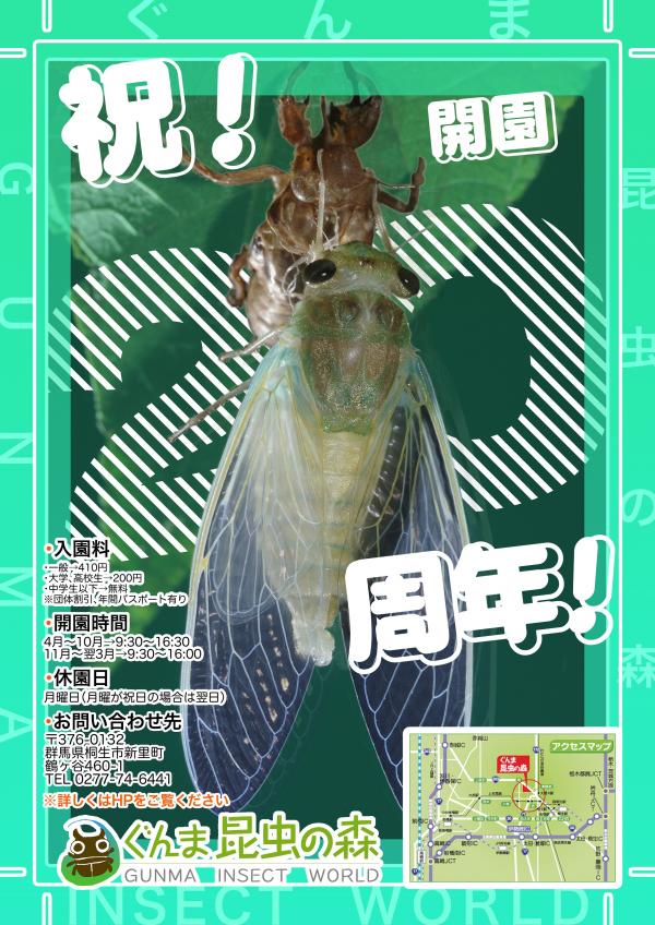 ちらし表
