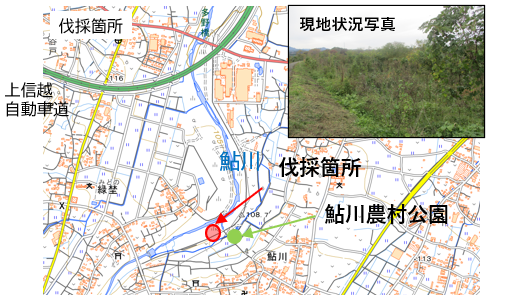 伐木場所の画像